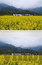 av日韩入口-解锁文化视野，探索日韩影视的独特魅力