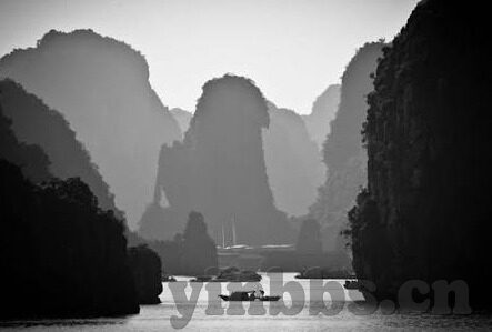 麻豆av免费版-探索麻豆AV免费版——成人娱乐的数字化浪潮