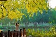 麻豆传媒安全下载-安全视界，麻豆传媒合法下载指南