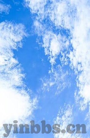 麻豆视频在线观看污-网络伦理的边界与娱乐内容的选择探索