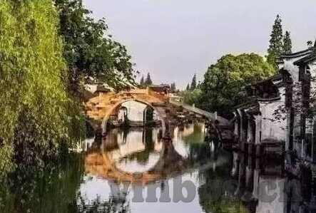 四虎人妻-探索四虎人妻，文化、伦理与现实的交织