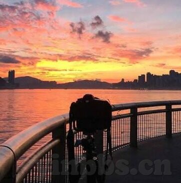 糖心vlog会员兑换码12位-糖心vlog会员畅享之旅，揭秘12位兑换码的魅力与价值