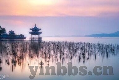 心糖vlog-心糖Vlog，日常琐碎中的甜蜜印记