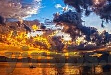 以母爱为义果冻传媒-母爱之味，以义果冻传媒为媒介的温暖传递